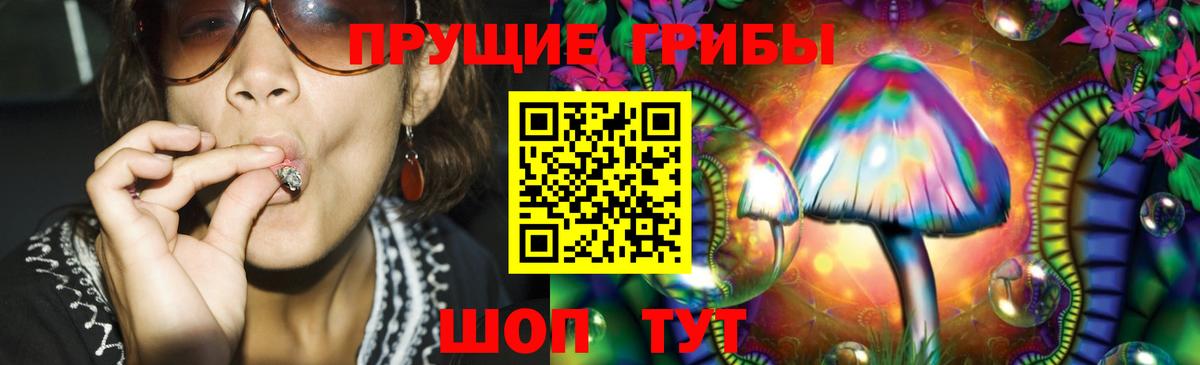 Псилоцибиновые грибы GOLDEN TEACHER Асбест
