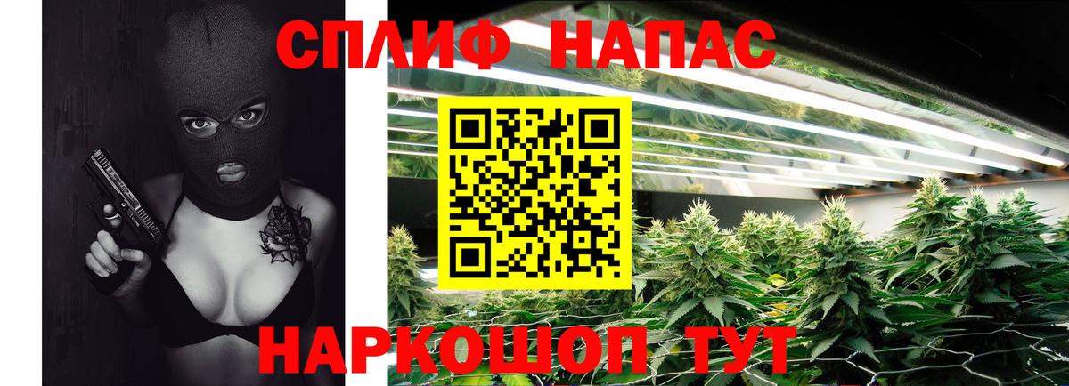 Бошки марихуана White Widow  Марихуана сатива  Бошки Шишки планчик  Вход с VPN  Асбест 